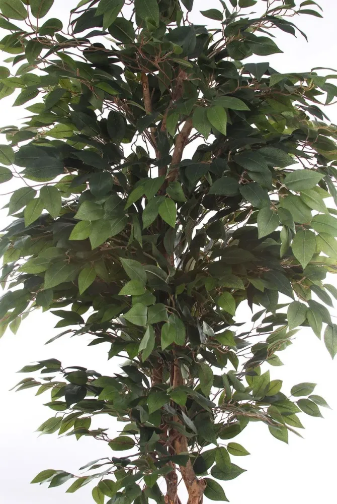 Kopu® Kunstplant Ficus 180 cm pot met Natuurstam
