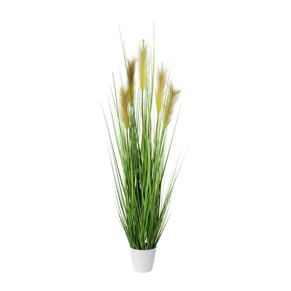Kopu® Kunstplant Pampusgras 110 cm - 5 pluimen - witte pot