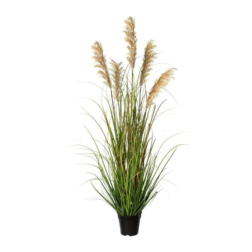 Kopu® Kunstplant Pluimgierst 122 cm - 5 halmen - zwarte pot