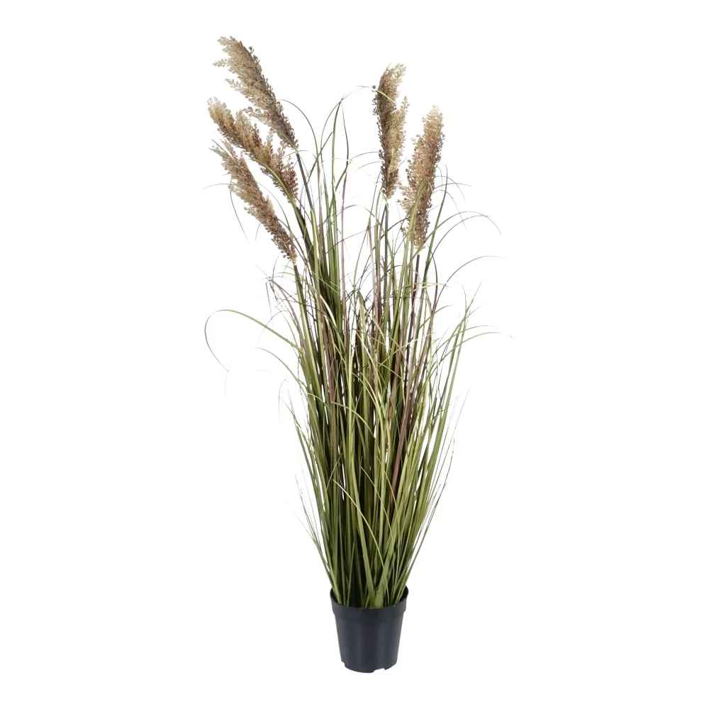 Kopu® Kunstplant Pluimgierst 122 cm - 5 halmen - zwarte pot