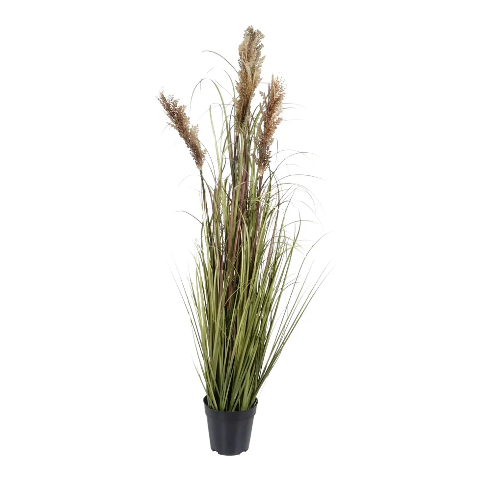 Kopu® Kunstplant Pluimgierst 122 cm - 5 halmen - zwarte pot