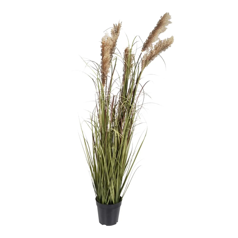 Kopu® Kunstplant Pluimgierst 122 cm - 5 halmen - zwarte pot