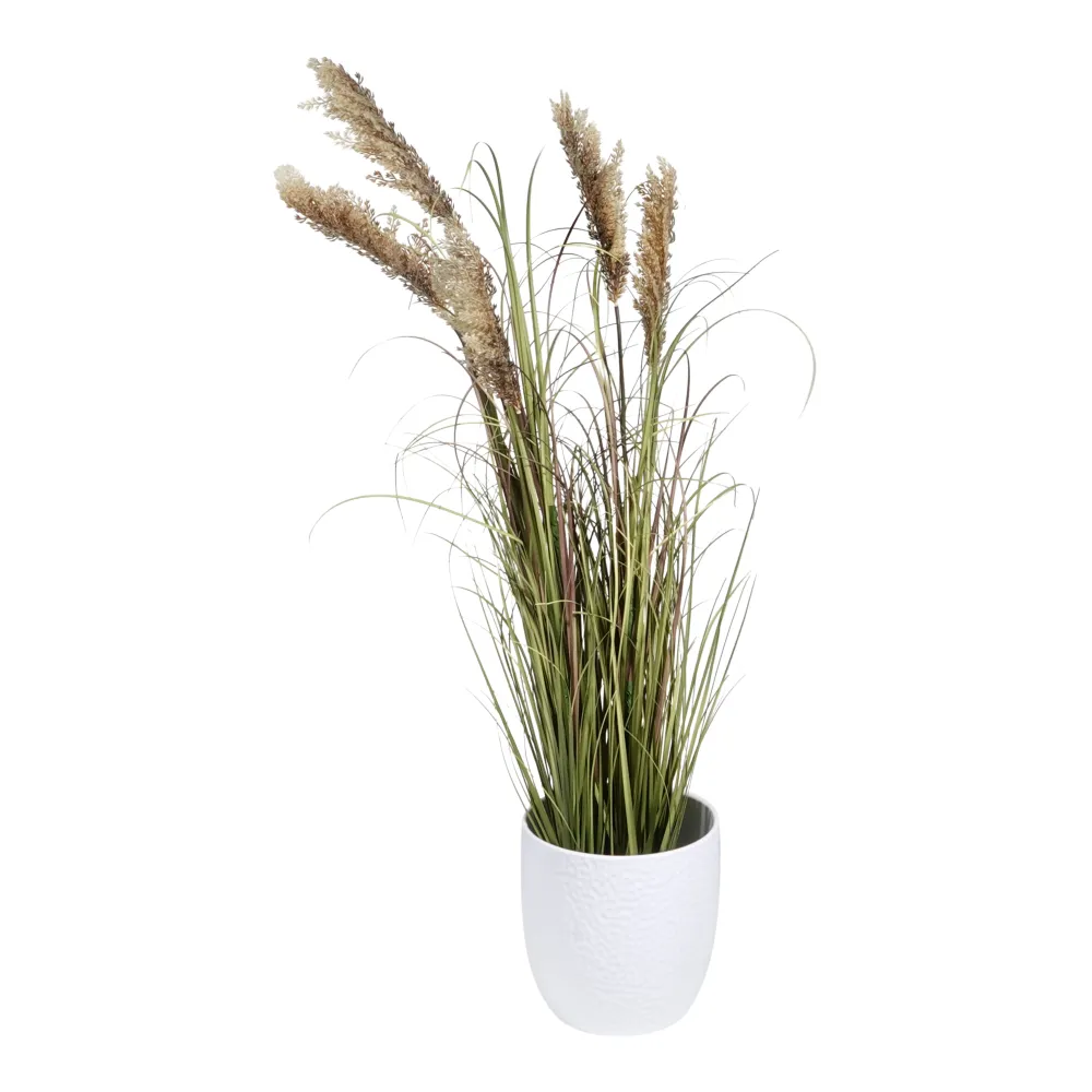 Kopu® Kunstplant Pluimgierst 122 cm - 5 halmen - zwarte pot