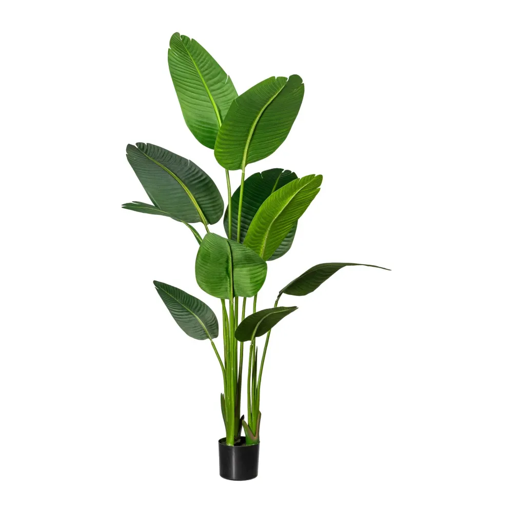 Kopu® Kunstplant Strelitzia Nicolai 160 cm Paradijsvogelplant 10 blad