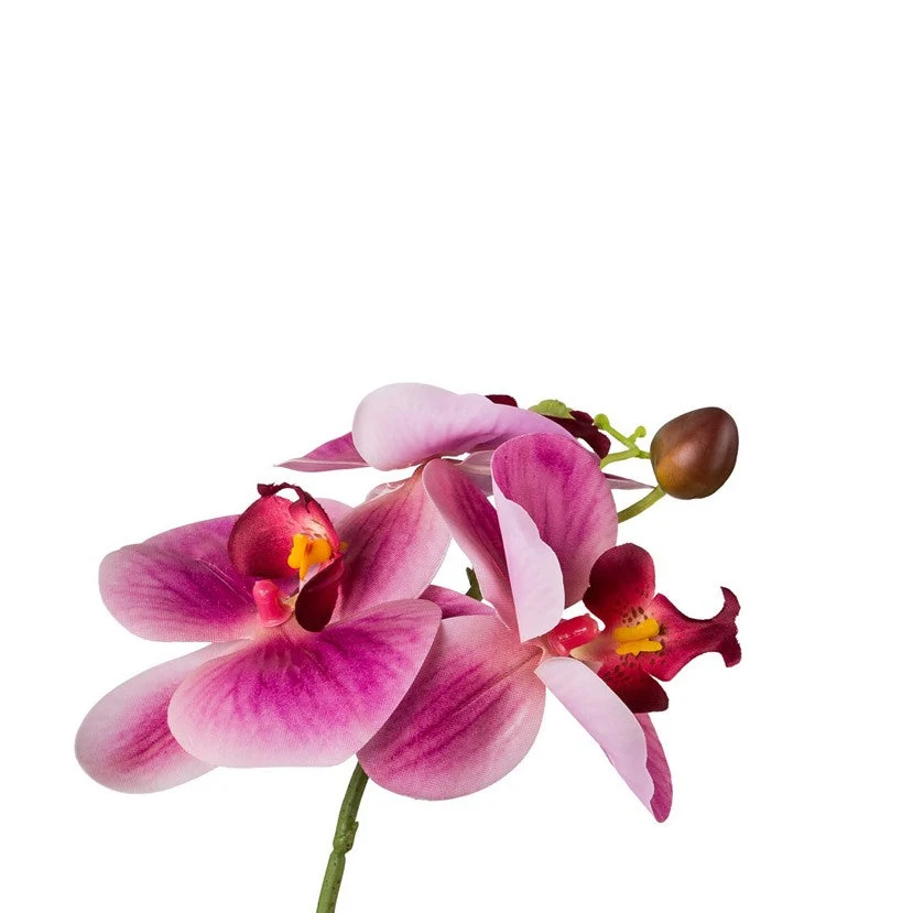 Kopu® Set 2 stuks Kunstplant Mini Orchidee 27 cm witte Sierpot - Roze