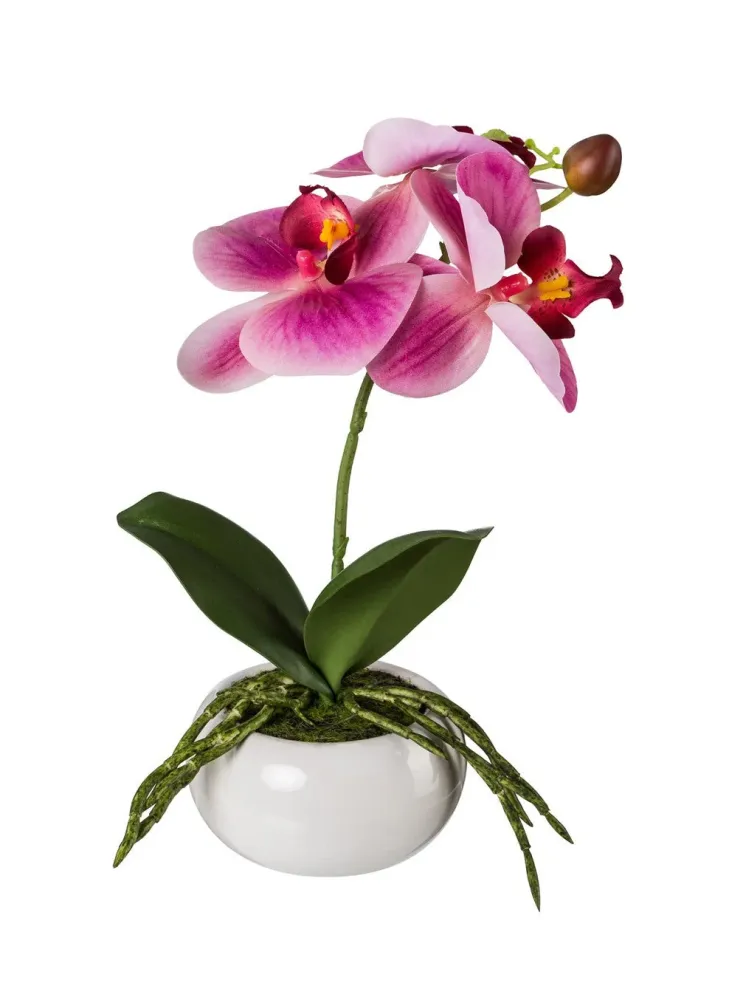 Kopu® Set 2 stuks Kunstplant Mini Orchidee 27 cm witte Sierpot - Roze