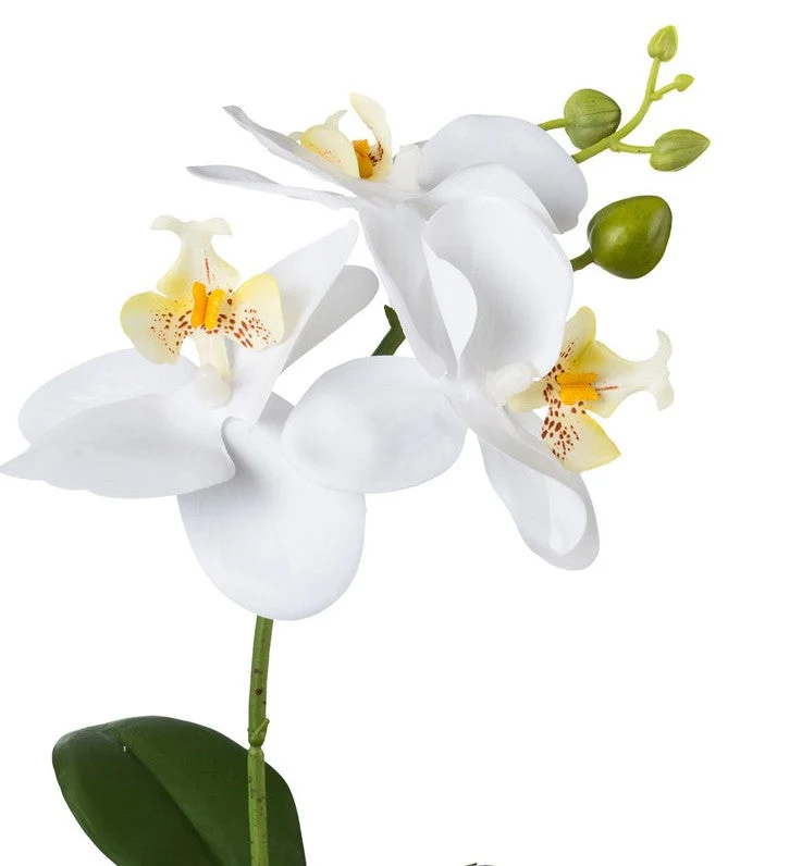 Kopu® Set 2 stuks Mini Kunstplant Orchidee 27 cm witte Sierpot - Wit