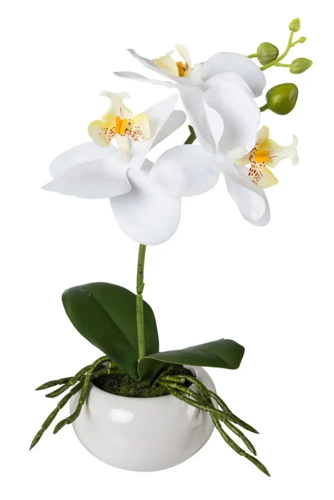 Kopu® Set 2 stuks Mini Kunstplant Orchidee 27 cm witte Sierpot - Wit