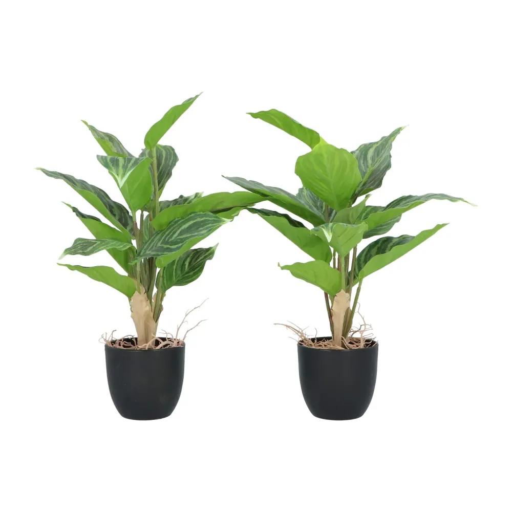 Kopu® 2 stuks Kunstplant Aglaonema 35 cm - 14 bladeren - zwarte pot
