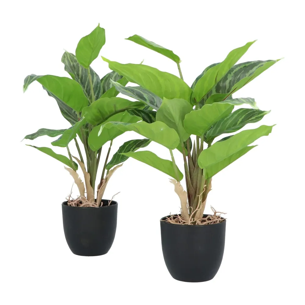 Kopu® 2 stuks Kunstplant Aglaonema 35 cm - 14 bladeren - zwarte pot