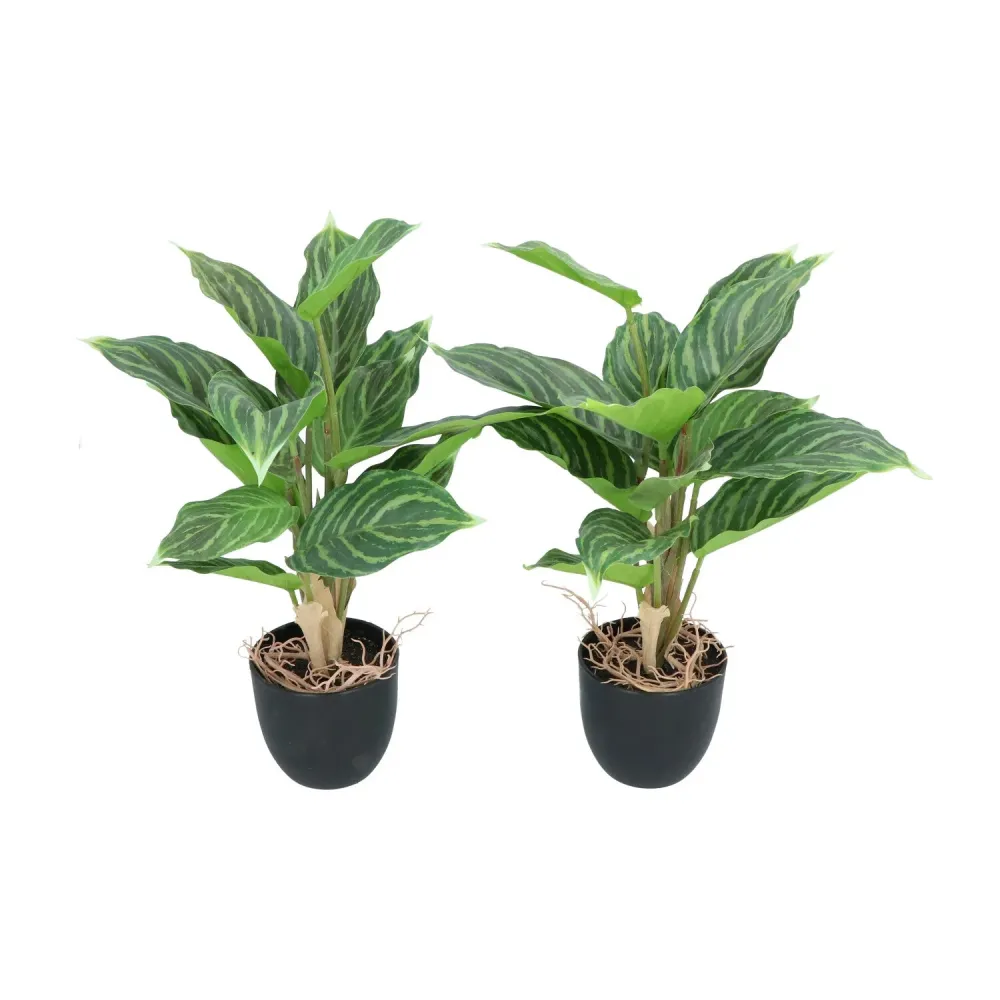 Kopu® 2 stuks Kunstplant Aglaonema 35 cm - 14 bladeren - zwarte pot