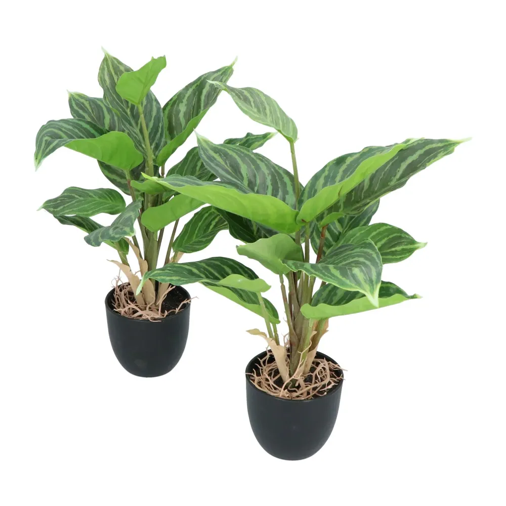 Kopu® 2 stuks Kunstplant Aglaonema 35 cm - 14 bladeren - zwarte pot
