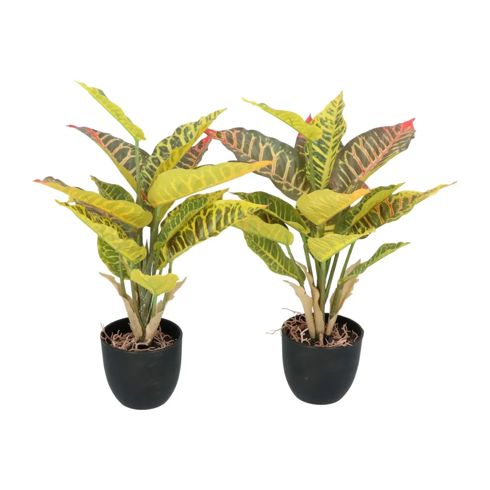 Kopu® 2 stuks Kunstplant Croton 35 cm - 14 bladeren - zwarte pot