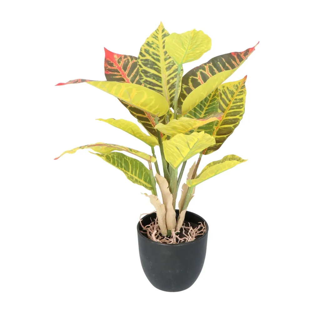 Kopu® 2 stuks Kunstplant Croton 35 cm - 14 bladeren - zwarte pot