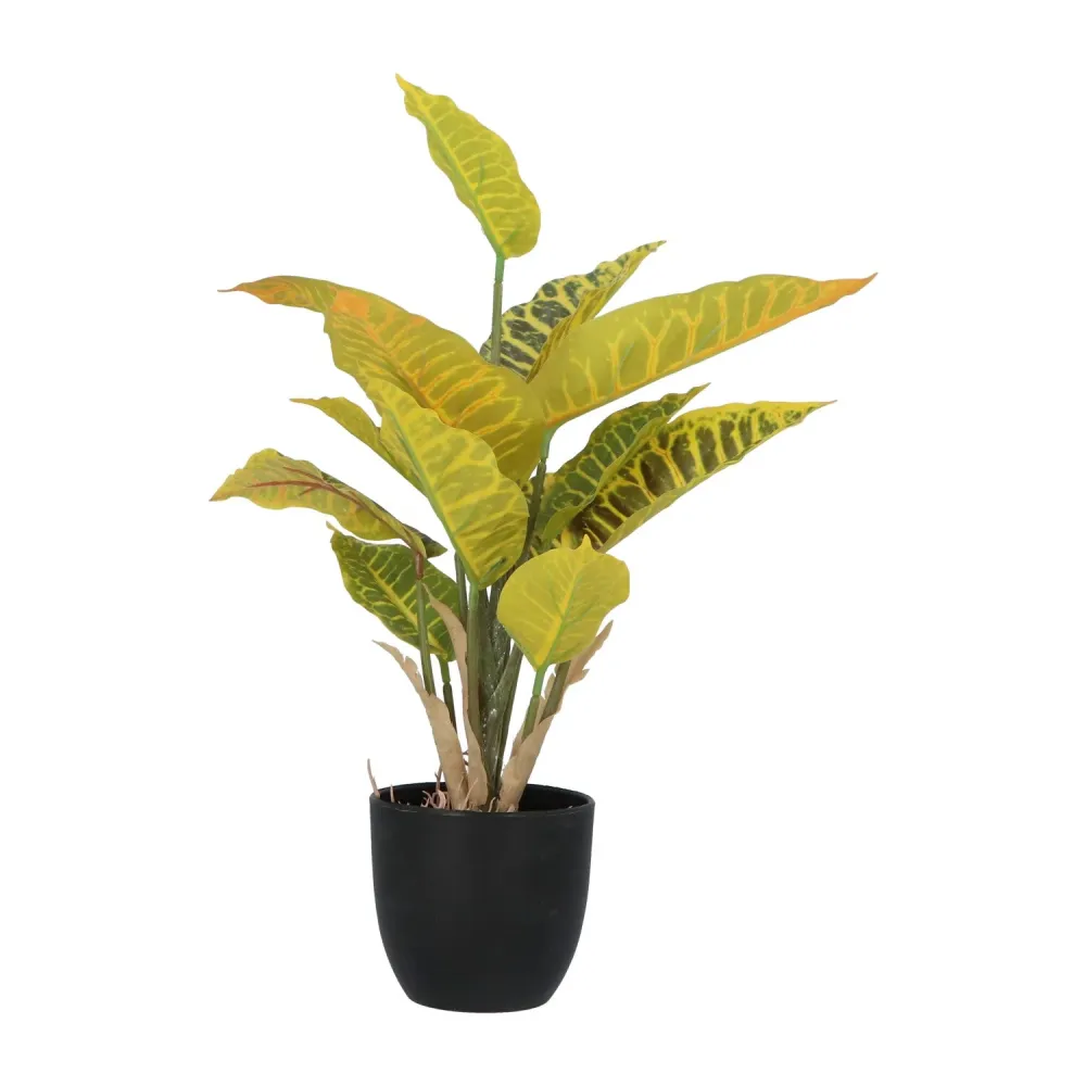 Kopu® 2 stuks Kunstplant Croton 35 cm - 14 bladeren - zwarte pot