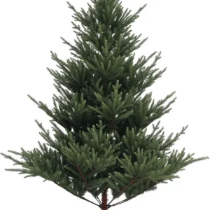 Kunstkerstboom van Noorse spar met metalen voet - 1046 takpunten - 180 cm - Ø157 cm Breed
