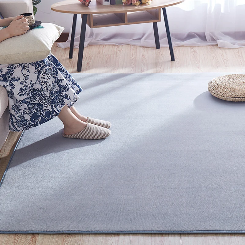 Polypropyleen Loopmat Multi-Colored Ongewikkeld Rug Polypropylene Plain Area Rug Non-Slip Backing Machine Washable Carpet...