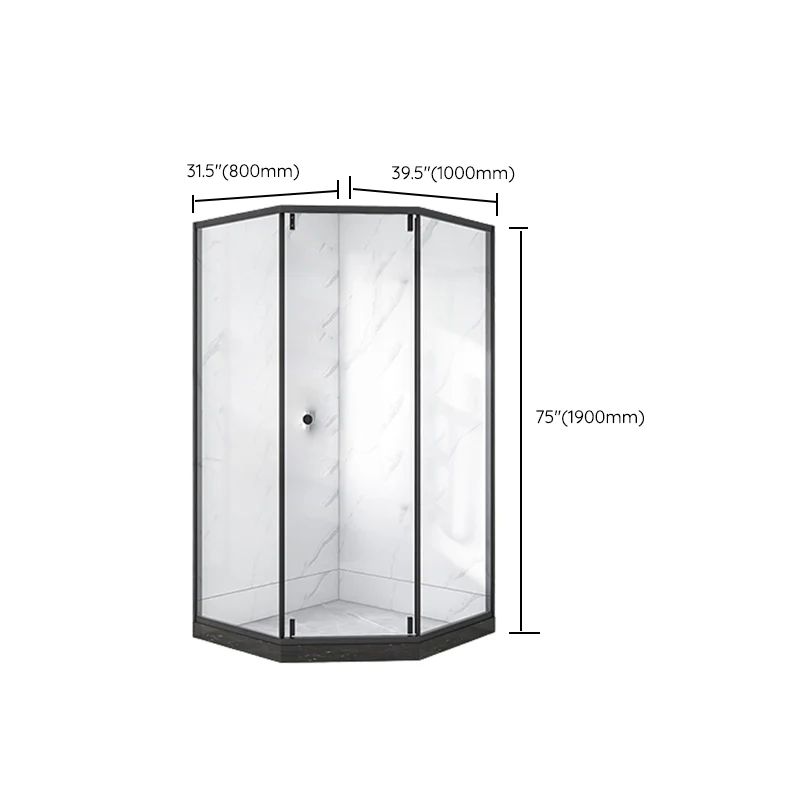 Neo-Angle Black Frame Shower Enclosure Tempered Glazen Shower Stall Fixed Panel 31