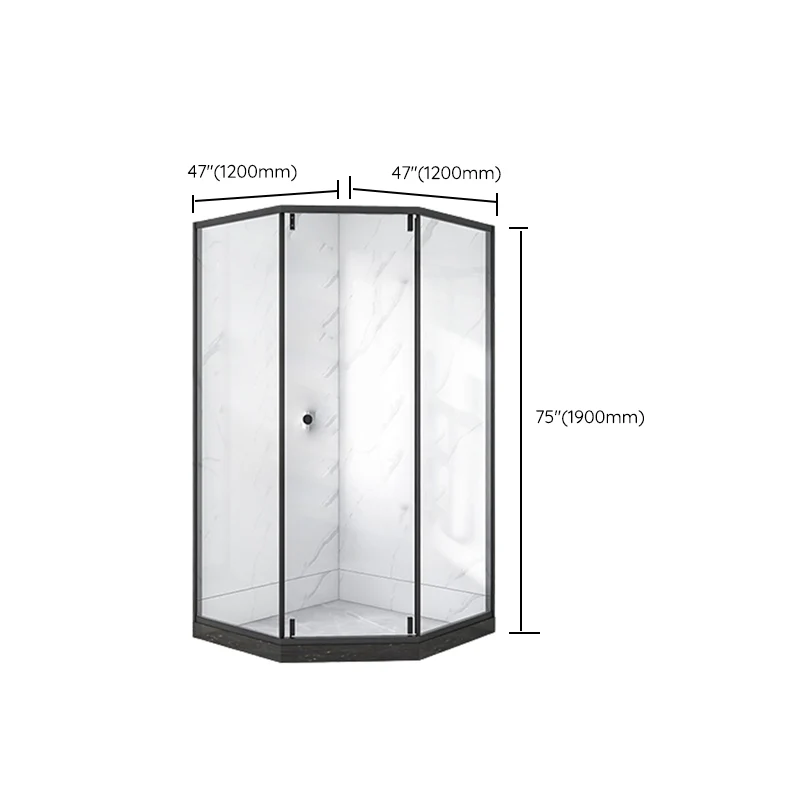 Neo-Angle Black Frame Shower Enclosure Tempered Glazen Shower Stall Fixed Panel 31