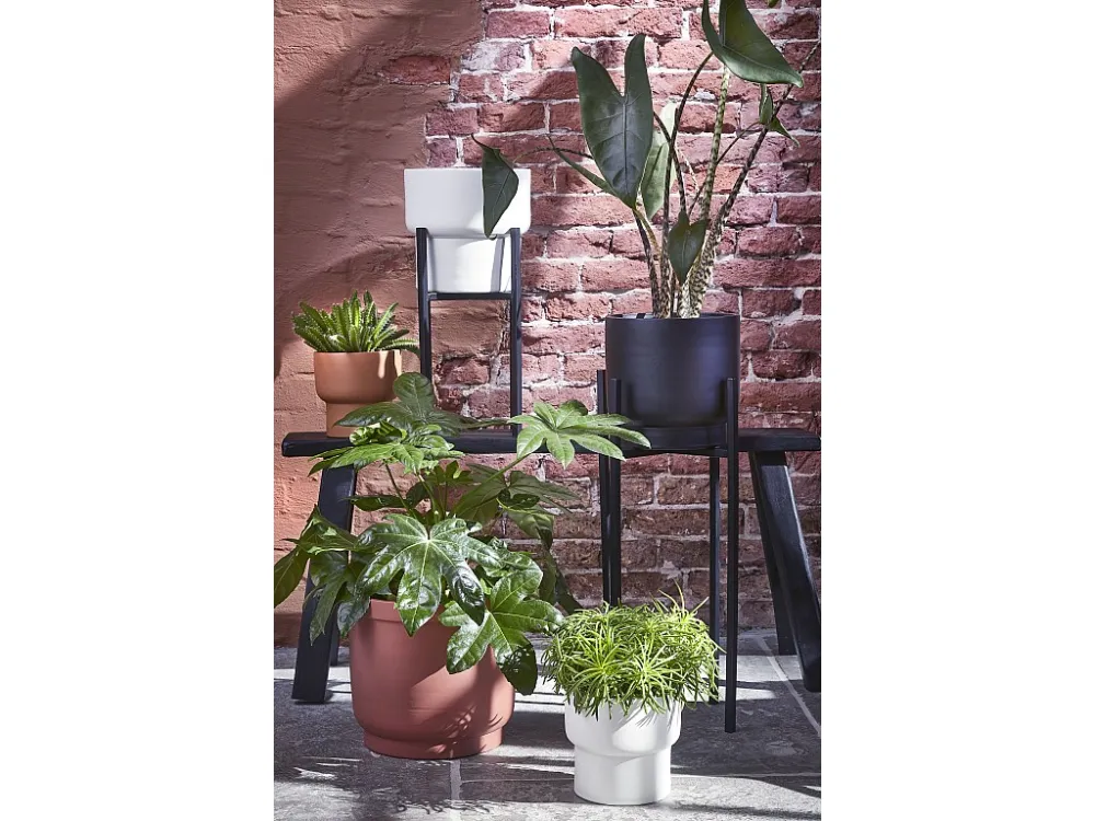Plantenstandaard van ijzer - 37,5 x 37,5 x 71 - Zwart - ASCOT XL