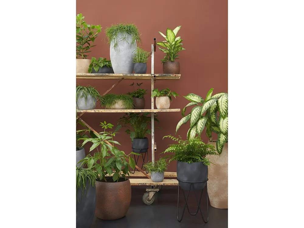 Plantenstandaard van ijzer - ⌀30 x 38.5 - Zwart -