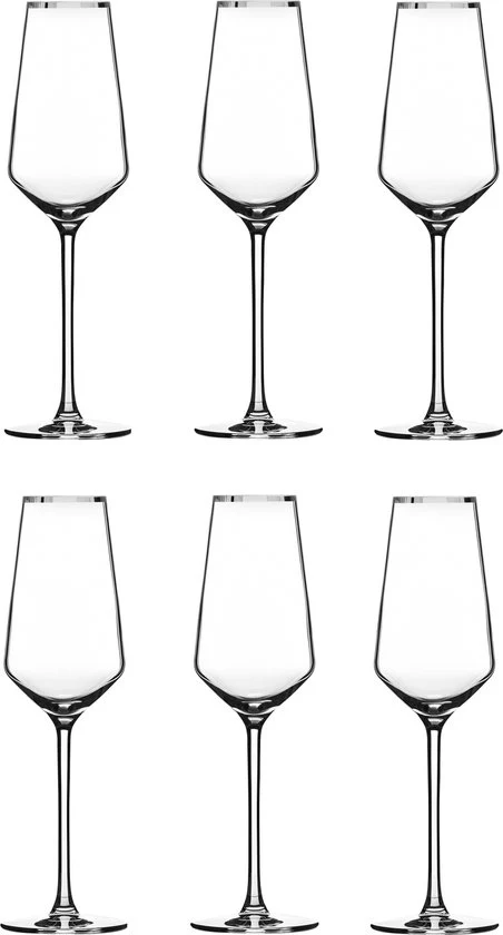 Alvito Champagneglazen set van 6 stuks - inhoud 21 cl - met Zilveren Rand