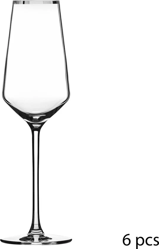 Alvito Champagneglazen set van 6 stuks - inhoud 21 cl - met Zilveren Rand