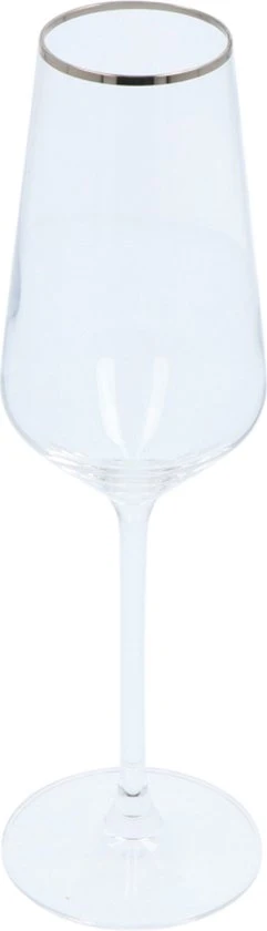 Alvito Champagneglazen set van 6 stuks - inhoud 21 cl - met Zilveren Rand