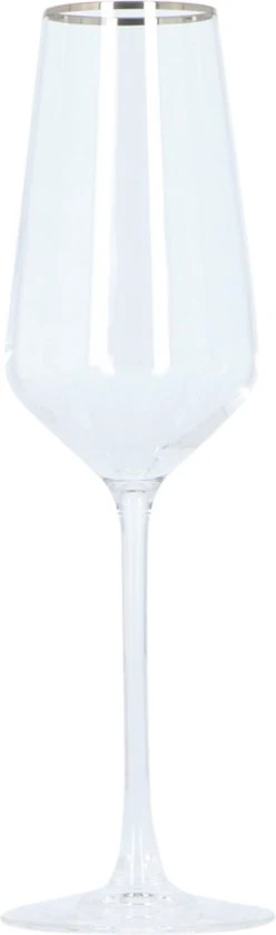 Alvito Champagneglazen set van 6 stuks - inhoud 21 cl - met Zilveren Rand
