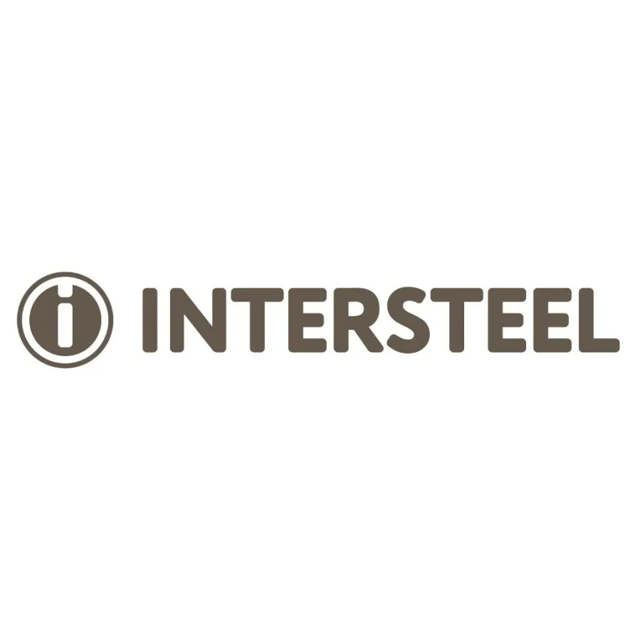 Intersteel toiletborstelset - kokermodel wandmontage - RVS