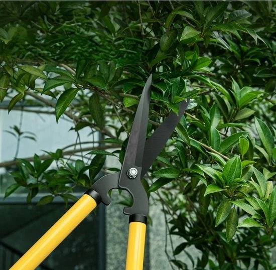 Heggenschaar en Takkenschaar - 35 Centimeter - Ergonomisch Voor Snoeien en Tuinieren