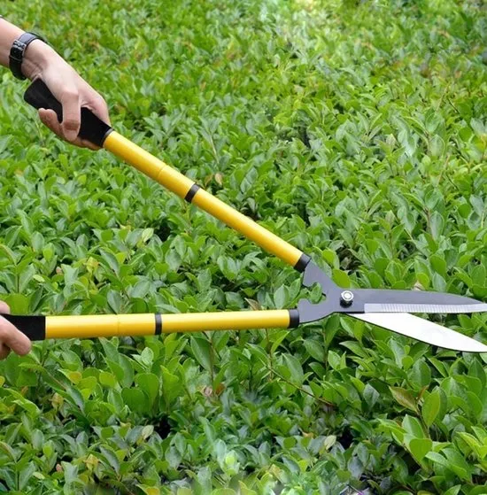 Heggenschaar en Takkenschaar - 35 Centimeter - Ergonomisch Voor Snoeien en Tuinieren