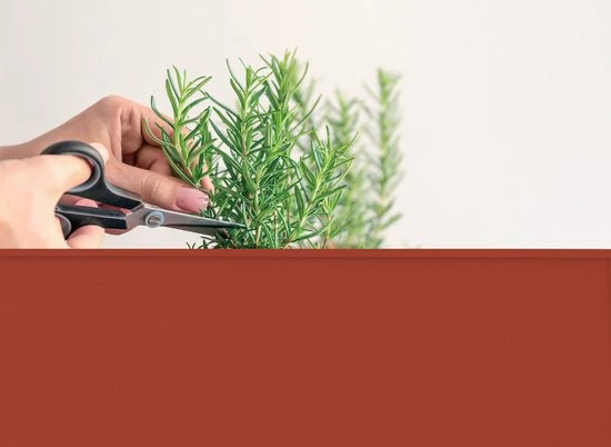 Herstera Garden Urban Hoge Plantenbak Staal - 100x40x84cm - Rood