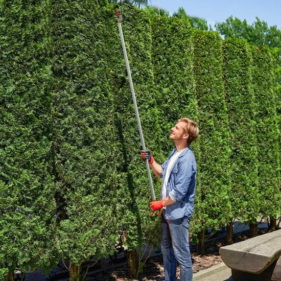 Takkenknipper voor snoeien - Tuinsnoeischaar met lange aluminium steel