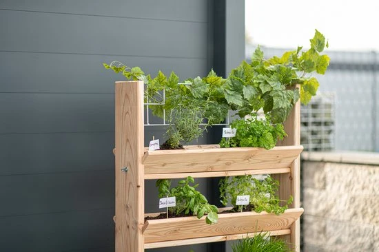 Westman Kruidenrek Plantenbak met traliewerk Viktoria L 50x80x95cm