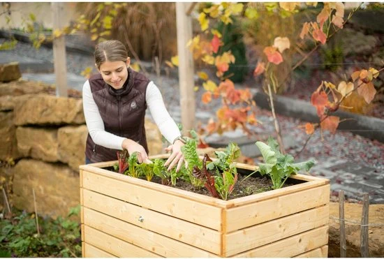 Westmann Houten Verhoogde Plantenbak Moestuin Asket M - 110x70x90cm