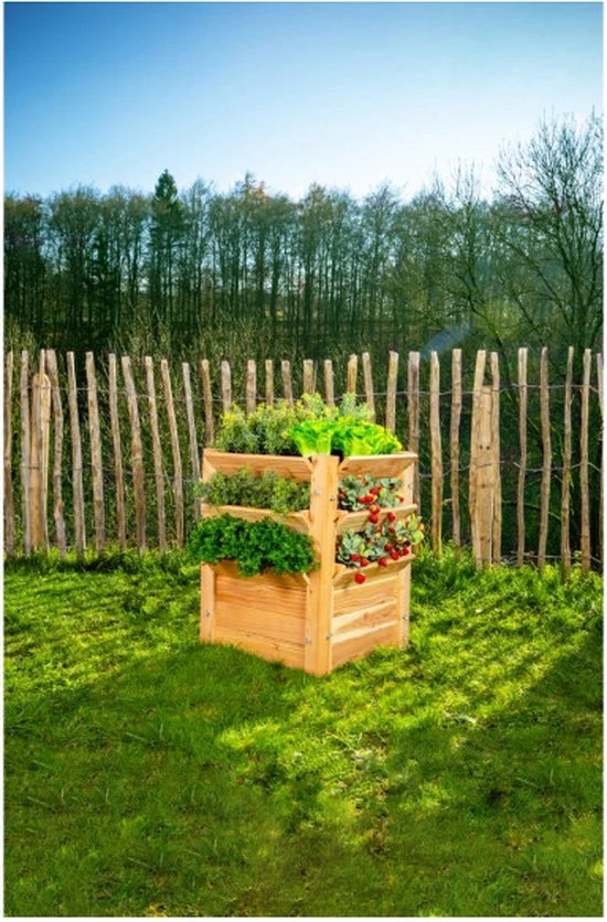 Westmann - WM102410 - Plantenbak - Bloembak - Tuin Hochbeed - 65 x 65 x 73 cm