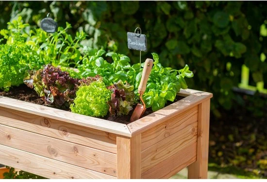 Westmann - WM102420 - Plantenbak - Bloembak - Tuin Hochbeed - 65 x 75 x 120 cm