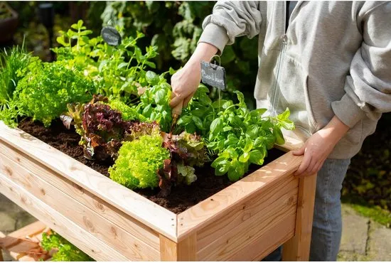 Westmann - WM102420 - Plantenbak - Bloembak - Tuin Hochbeed - 65 x 75 x 120 cm