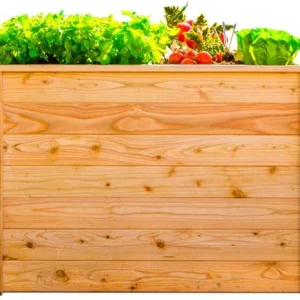 Westmann - WMHL100 - Plantenbak - Bloembak - Tuin Hochbeed - 65 x 66 x 100 cm