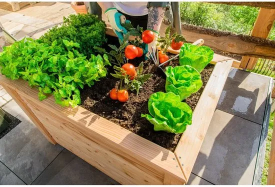 Westmann - WMHL100 - Plantenbak - Bloembak - Tuin Hochbeed - 65 x 66 x 100 cm