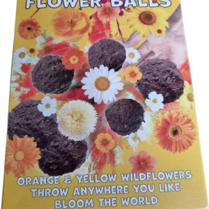 Sasemy - Zomer - Bloem zaden - Wilde Bloemen - Zomerbloemen - Kleuren je tuin - Bijen en Vlinders - Gele en oranje wilde b...